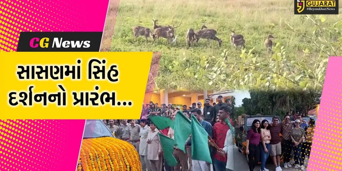 જુનાગઢ : સિંહ દર્શનનો લ્હાવો, સાસણ-ગીર નેચર સફારી પાર્ક પ્રવાસીઓ માટે આજથી ખુલ્લું મુકાયું