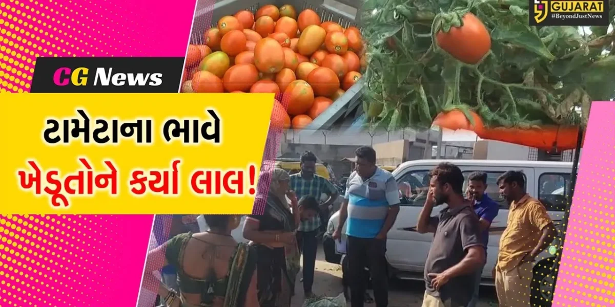 સાબરકાંઠા: ટામેટા પકવતા ખેડૂતોને લાલ પાણીએ રોવાનો વારો,જુઓ શું છે કારણ