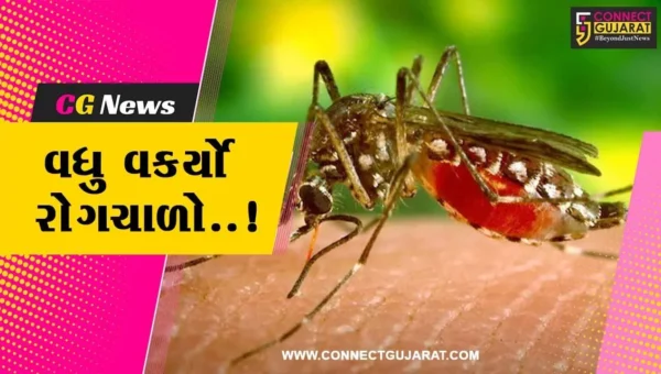 સુરત : છેલ્લા 3 મહિનામાં ડેન્ગ્યૂ-મલેરિયાના કેસ 4 ગણા વધ્યા, તંત્રની બેદરકારીથી વકરી રોગચાળાની સ્થિતિ..!