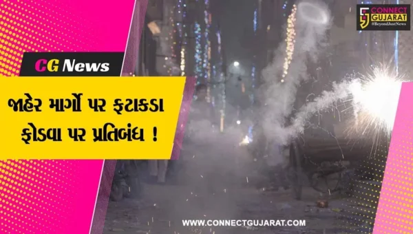 વડોદરા: દિવાળીના પર્વ પર કલેક્ટરનું જાહેરનામુ, જાહેરમાર્ગો પર ફટાકડા નહીં ફોડી શકાય