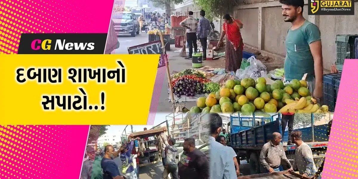 વડોદરા : ટ્રાફિકને અડચણરૂપ ગેરકાયદે લારી-ગલ્લાના દબાણો પર મનપાનો સપાટો, અન્ય દબાણકર્તાઓમાં ફફડાટ