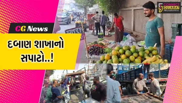 વડોદરા : ટ્રાફિકને અડચણરૂપ ગેરકાયદે લારી-ગલ્લાના દબાણો પર મનપાનો સપાટો, અન્ય દબાણકર્તાઓમાં ફફડાટ