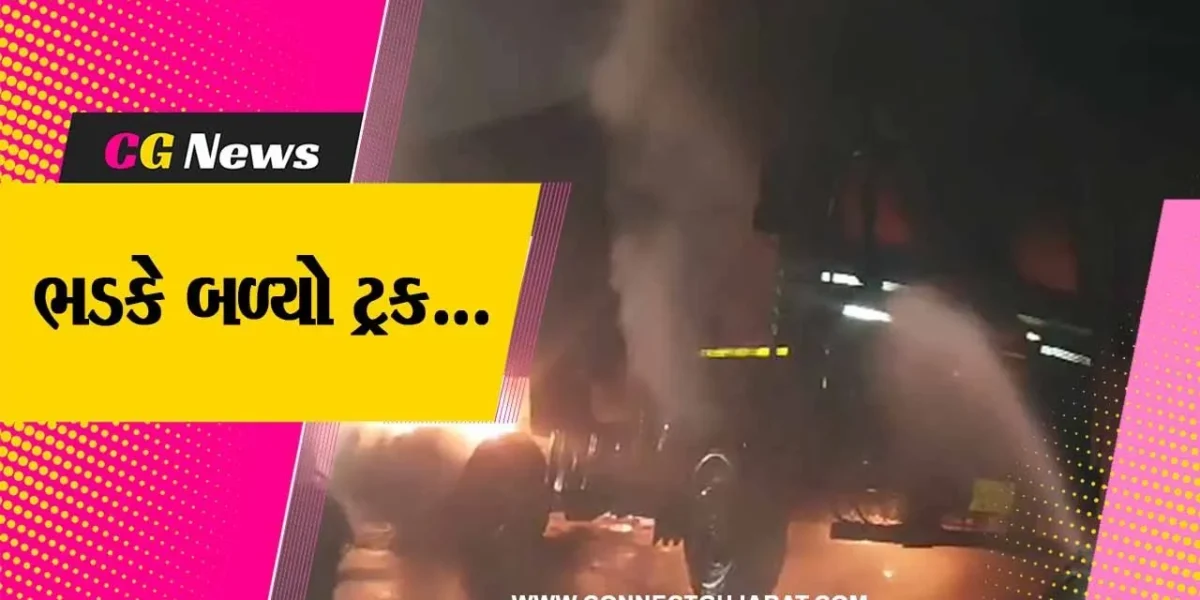 ભરૂચ : NH-48 પર વરેડિયા નજીક સલ્ફર ભરેલી ટ્રકમાં આગ ફાટી નીકળતા મચી દોડધામ…