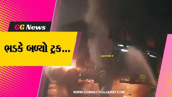 ભરૂચ : NH-48 પર વરેડિયા નજીક સલ્ફર ભરેલી ટ્રકમાં આગ ફાટી નીકળતા મચી દોડધામ…