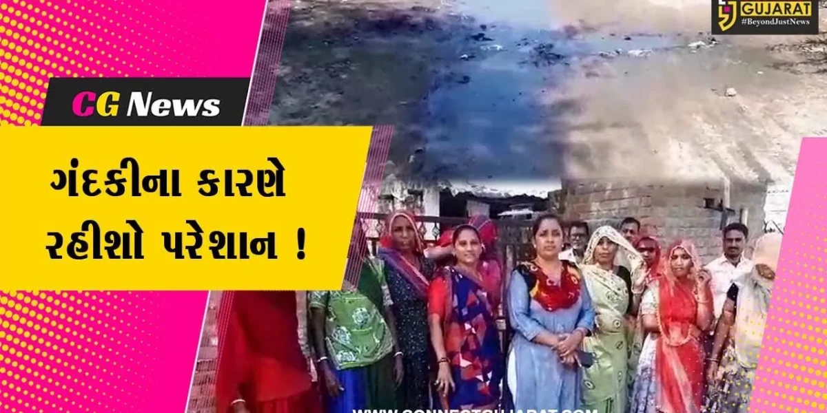 પાટણ: રાધનપુરના વોર્ડ નંબર સાતમાં બિસ્માર માર્ગ અને ગંદકીના કારણે રહીશો પરેશાન,આંદોલનની ચીમકી