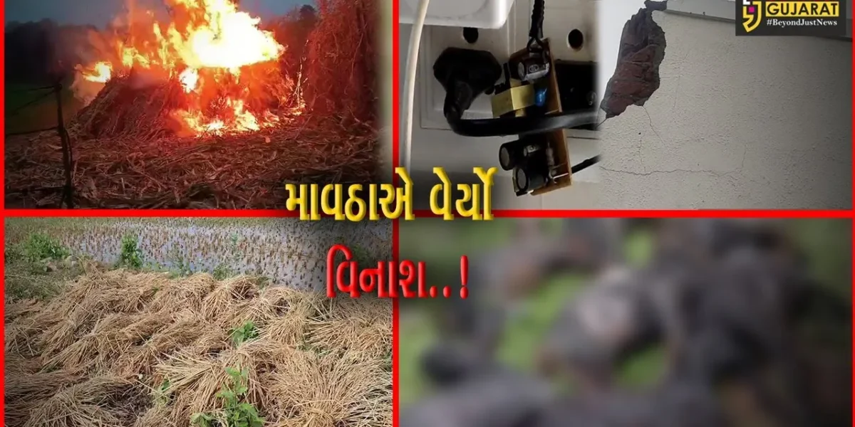 અરવલ્લી : કમોસમી વરસાદે વિનાશ વેરતા ખેડૂતો-પશુપાલકોને નુકશાની, વીજળી પડતાં 16 બકરાના મોત…