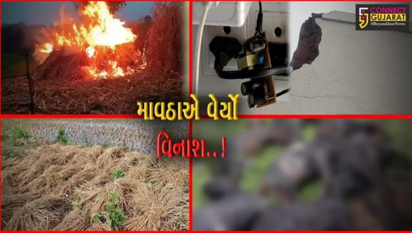 અરવલ્લી : કમોસમી વરસાદે વિનાશ વેરતા ખેડૂતો-પશુપાલકોને નુકશાની, વીજળી પડતાં 16 બકરાના મોત…