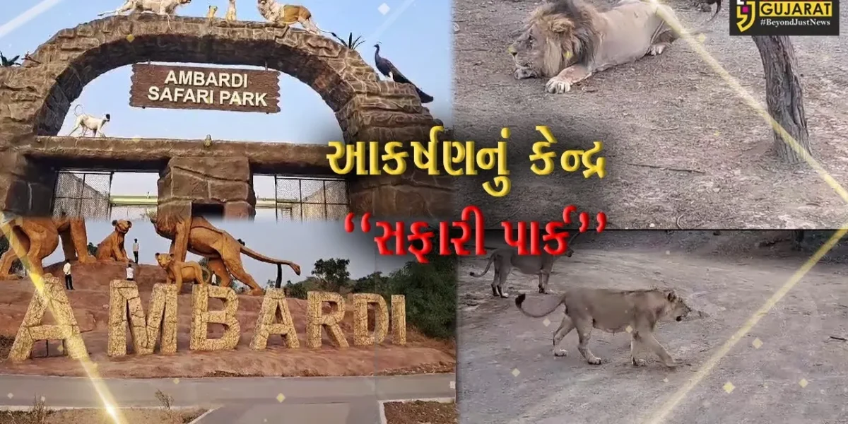 દીવ-દમણ કે, ગોઆ નહીં… પણ હવે સહેલાણીઓ માટે નંબર વન પર્યટન સ્થળ બન્યું અમરેલીનું સફારી પાર્ક…