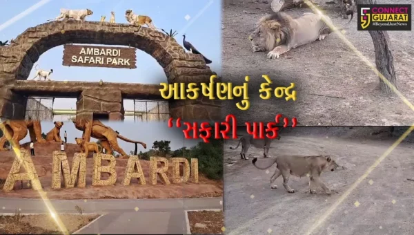 દીવ-દમણ કે, ગોઆ નહીં… પણ હવે સહેલાણીઓ માટે નંબર વન પર્યટન સ્થળ બન્યું અમરેલીનું સફારી પાર્ક…