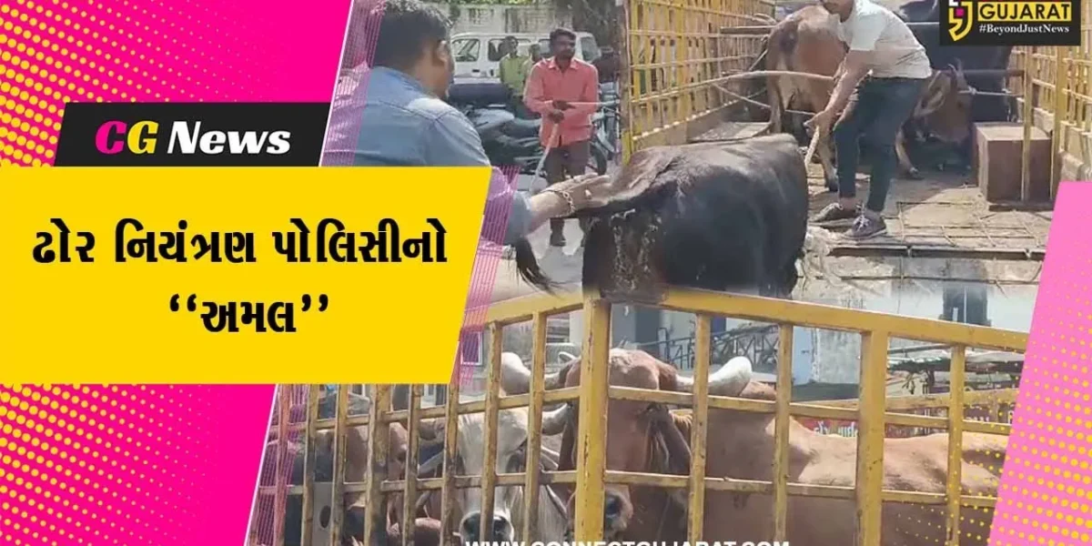 વડોદરા : ઢોર નિયંત્રણ પોલિસીનો અમલ શરૂ, મનપા દ્વારા રખડતાં ઢોર પકડવાની કામગીરીને વેગ…