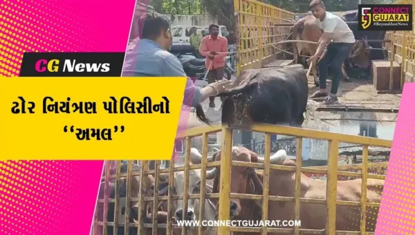 વડોદરા : ઢોર નિયંત્રણ પોલિસીનો અમલ શરૂ, મનપા દ્વારા રખડતાં ઢોર પકડવાની કામગીરીને વેગ…