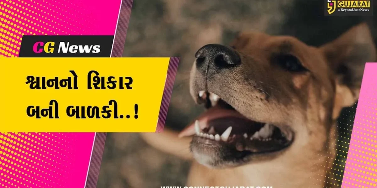 સુરત : 1 વર્ષીય બાળકી પર શ્વાનનો જીવલેણ હુમલો, બચકાં ભરી લેતા બાળકીની આંખ પર ગંભીર ઇજા…