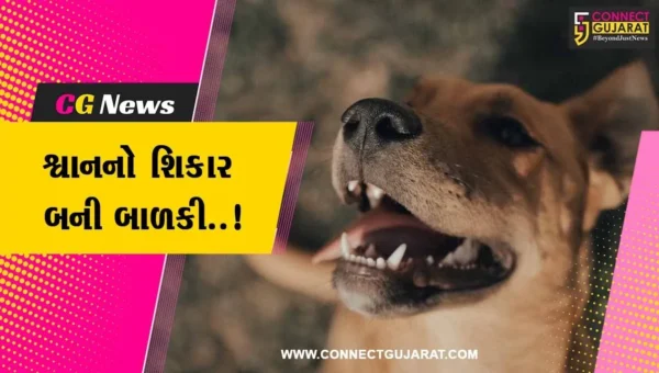 સુરત : 1 વર્ષીય બાળકી પર શ્વાનનો જીવલેણ હુમલો, બચકાં ભરી લેતા બાળકીની આંખ પર ગંભીર ઇજા…