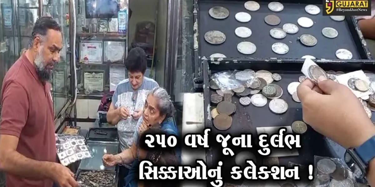 વડોદરા:હેરિટેજ વીક અંતર્ગત લોકોને જૂના સિક્કાની માહિતી અપાઈ, અદભુત ખજાનો જોઈ લોકો આશ્ચર્યચકિત
