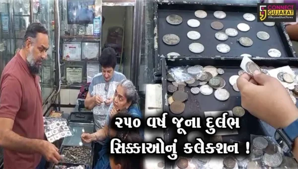 વડોદરા:હેરિટેજ વીક અંતર્ગત લોકોને જૂના સિક્કાની માહિતી અપાઈ, અદભુત ખજાનો જોઈ લોકો આશ્ચર્યચકિત