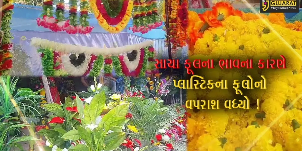 ભરૂચ:સાચા ફૂલોના ભાવ બમણા થતાં તહેવારો પ્રસંગો અને ઘર સજાવટમાં પ્લાસ્ટિકના ફૂલોનોવપરાશ વધ્યો