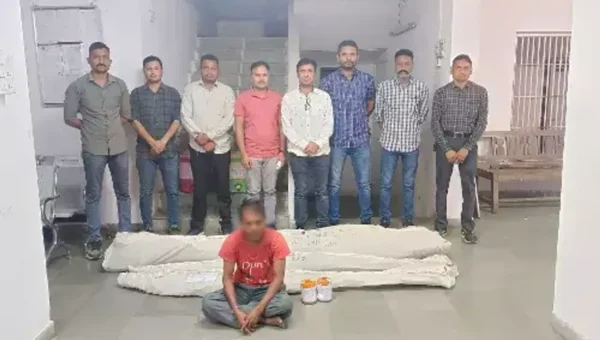 પંચમહાલના ઘોઘંબામાં SOGએ ગાંજાનું વાવેતર ઝડપી પાડ્યું, એક આરોપીની કરી ધરપકડ