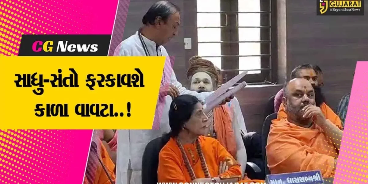 જુનાગઢ : લીલી પરિક્રમા અંગે તંત્રએ મોડી બેઠક બોલાવતા સાધુ-સંતોમાં રોષ, કહ્યું “આ પોલિટિકલ મિટિંગ નથી”