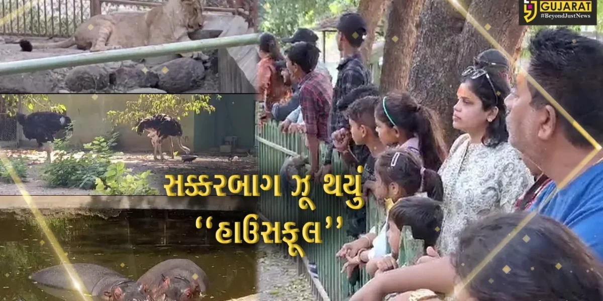 જુનાગઢ : દિવાળીની રજાઓમાં મજા માળવા સક્કરબાગ ઝૂમાં ઊમટ્યું સહેલાણીઓનું ઘોડાપૂર…