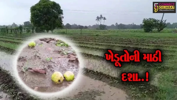 ભરૂચ-અંકલેશ્વરમાં પૂર બાદ હવે માવઠું બન્યું “આફત”, પાકને નુકશાન થવાની ખેડૂતોમાં ભીતિ…!