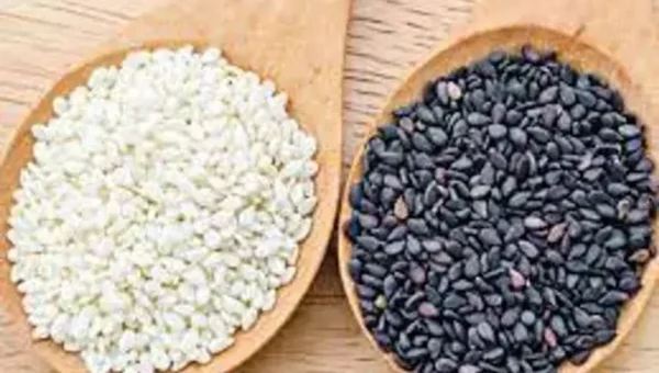 શિયાળામાં તલ ખાવાથી ફાયદો થાય છે એ તો તમને ખબર જ હશે, પરંતુ ક્યાં તલ છે સ્વાસ્થ્ય માટે બેસ્ટ? ચાલો જાણીએ….