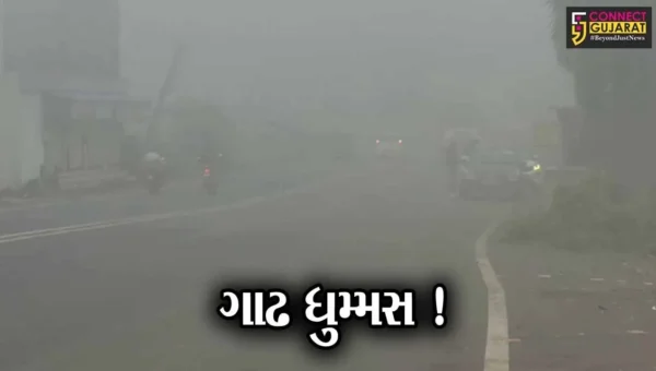 નવસારી અને વલસાડમાં ધુમ્મસની ચાદર છવાઇ, વાહન ચાલકોએ મુશ્કેલીનો કર્યો અનુભવ