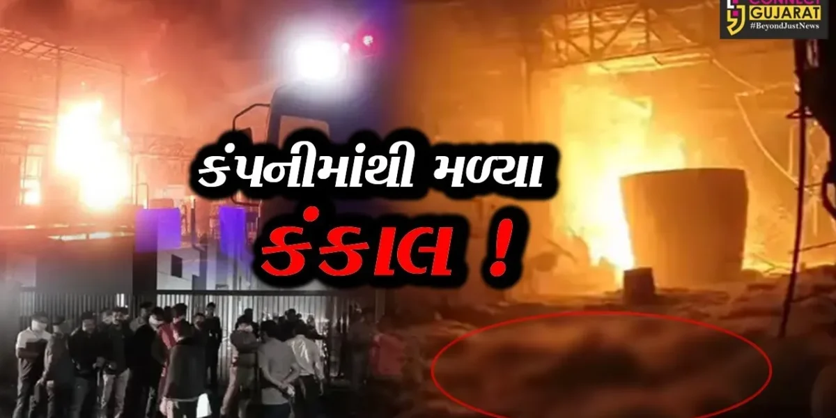 સુરત: સચિનની એથર ઇન્ડસ્ટ્રીઝ કેમિકલ કંપનીમાં ભયંકર આગનો મામલો, ગુમ થયેલ 7 કામદારોના કંકાલ મળ્યા