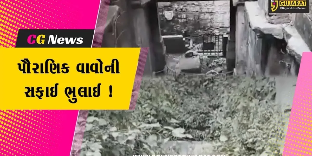 સાબરકાંઠા: હિંમતનગરમાં સ્વચ્છતા અભિયાનમાં રોડ-રસ્તાની સફાઈ કરાઈ,પૌરાણિક વાવોની સફાઈ ભુલાઈ