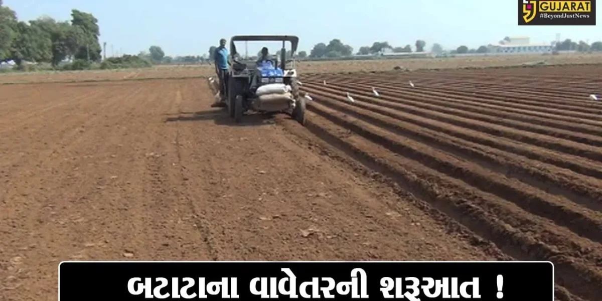 અરવલ્લી: ખેડૂતોએ બટાટાના વાવેતરની શરૂઆત કરી, સારા ઉત્પાદનની ખેડૂતોને આશા