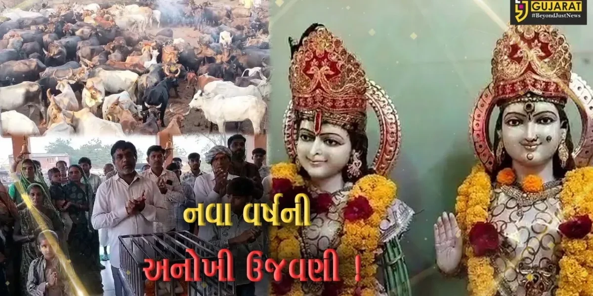 અરવલ્લી: મોડાસાના રામપુરા ગામે ગોપાલક સમાજ દ્વારા અનોખી રીતે નવા વર્ષની ઉજવણી,જુઓ વિડીયો