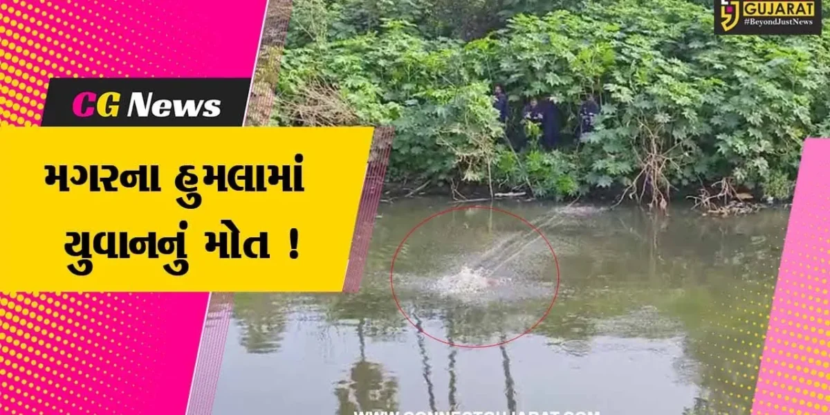 વડોદરા: વિશ્વામિત્રી નદીમાં મગરના હુમલામાં યુવાનનું મોત, ફાયર વિભાગે બહાર કાઢ્યો મૃતદેહ
