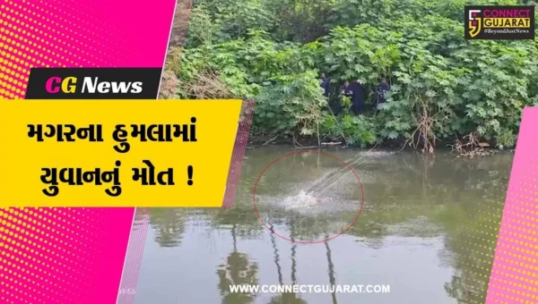 વડોદરા: વિશ્વામિત્રી નદીમાં મગરના હુમલામાં યુવાનનું મોત, ફાયર વિભાગે બહાર કાઢ્યો મૃતદેહ