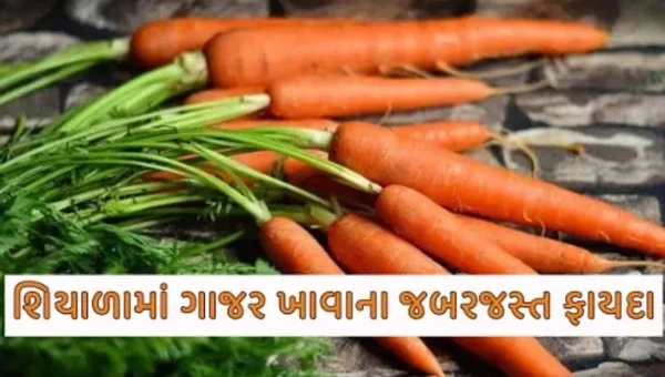 આંખો અને ત્વચા માટે વરદાનરૂપ છે ગાજર, ફાયદાઓ જાણી તમે પણ ચોકી જશો….