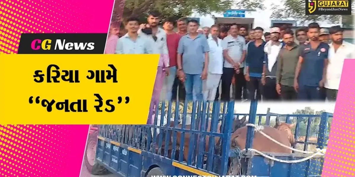 જુનાગઢ : મનપા રખડતાં ઢોર બોર્ડર વિસ્તારમાં છુટા મુકે તે પહેલા કરિયા ગામે “જનતા રેડ”