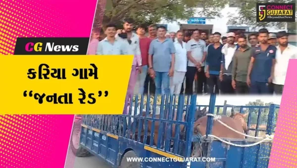જુનાગઢ : મનપા રખડતાં ઢોર બોર્ડર વિસ્તારમાં છુટા મુકે તે પહેલા કરિયા ગામે “જનતા રેડ”