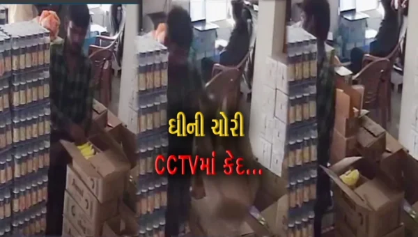 દૂધ બાદ હવે ઘીની પણ ચોરી : વડોદરામાં અમૂલ પાર્લરના કર્મચારીએ ઘીના 170 પાઉચની ચોરી કરી, ઘટના CCTVમાં કેદ