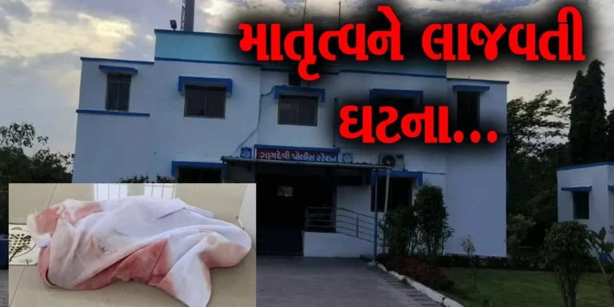 નવસારી : ગણદેવીમાં તરછોડાયેલા નવજાતને શ્વાનોએ ફાડી ખાતા મોત, નિષ્ઠુર જનેતા સામે ફિટકાર…