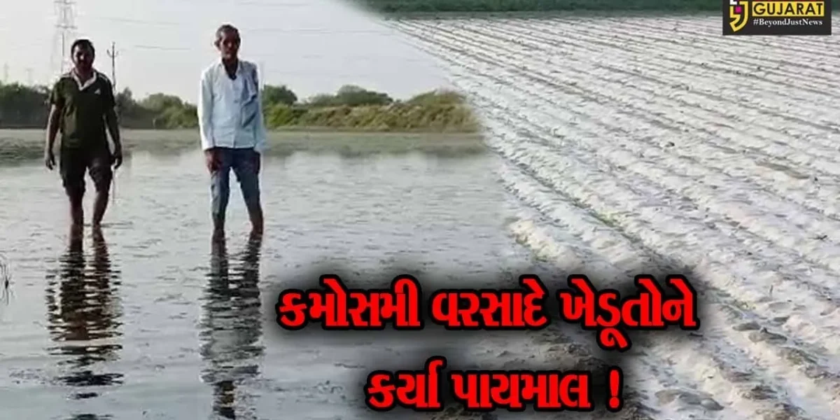 પાટણ: સાંતલપુર તાલુકાના જેકડા ગામ ખાતે થયેલા કમોસમી વરસાદના કારણે 600થી વધારે ખેડૂતો થયા પાયમાલ !