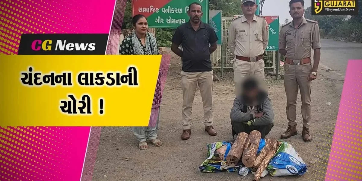 ગીર સોમનાથ: વેરાવળ વનવિભાગ દ્વારા ચંદનના ચોરીના લાકડા સાથે એક આરોપીની ધરપકડ