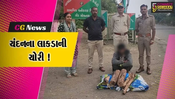 ગીર સોમનાથ: વેરાવળ વનવિભાગ દ્વારા ચંદનના ચોરીના લાકડા સાથે એક આરોપીની ધરપકડ