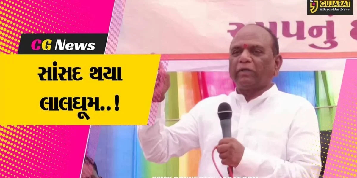 નર્મદા : દારૂ-જુગારના અડ્ડા ચલાવનારાઓ મને ચૂંટણીમાં પાડી દેવાની વાત કરે છે : સાંસદ મનસુખ વસાવા