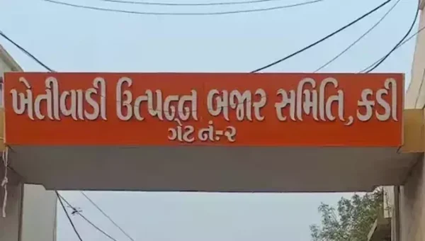 મહેસાણામાં કડી માર્કેટયાર્ડની આજે યોજાશે ચૂંટણી, ભાજપના 10 અને કોંગ્રેસના 2 ઉમેદવાર મેદાનમાં