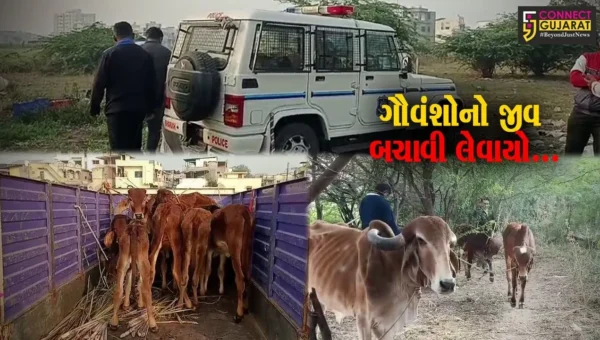 ભરૂચ : કતલ થાય તે પહેલા જ પોલીસ અને જીવદયા પ્રેમીઓએ બદર પાર્ક નજીકથી 18 ગૌવંશોને બચાવ્યા, 2 શખ્સોની ધરપકડ…