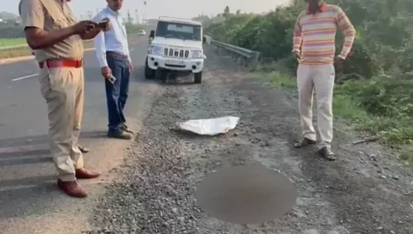ભરૂચ : ઝઘડીયાના ગોવાલી ગામ નજીક અજાણ્યાં વાહનની ટક્કરે દીપડાનું મોત, વન વિભાગ દોડતું થયું…