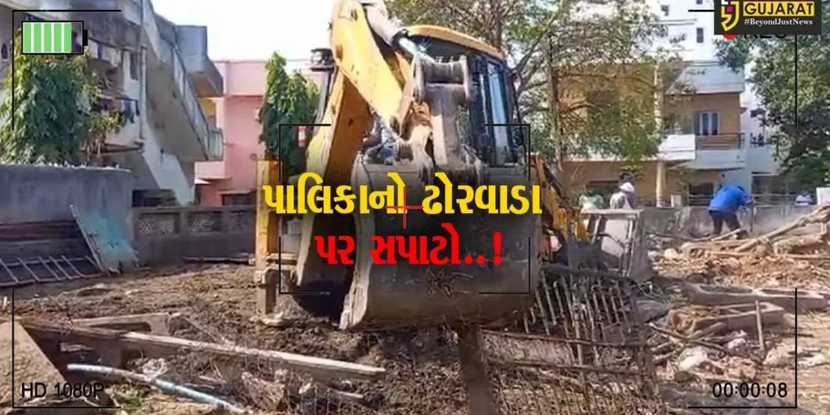 વડોદરા : ઢોર નિયંત્રણ કાયદાનો અમલ નહીં કરતાં સુભાનપુરા પરવાનગી વિનાના ઢોરવાડા સામે મનપાની કાર્યવાહી…