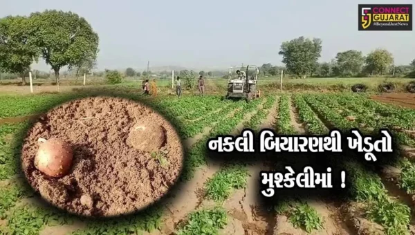 અરવલ્લી:નકલી બિયારણના કારણે ખેડૂતો મુશ્કેલીમાં, કંપની સામે કાર્યવાહીની માંગ