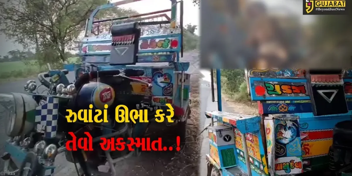 જુનાગઢ : છકડો રિક્ષા ચાલક ઝાડ સાથે ભટકાતાં ભયંકર અકસ્માત, દ્રશ્યો જોઈ ભલભલાના રુવાંટાં ઊભા થયા…