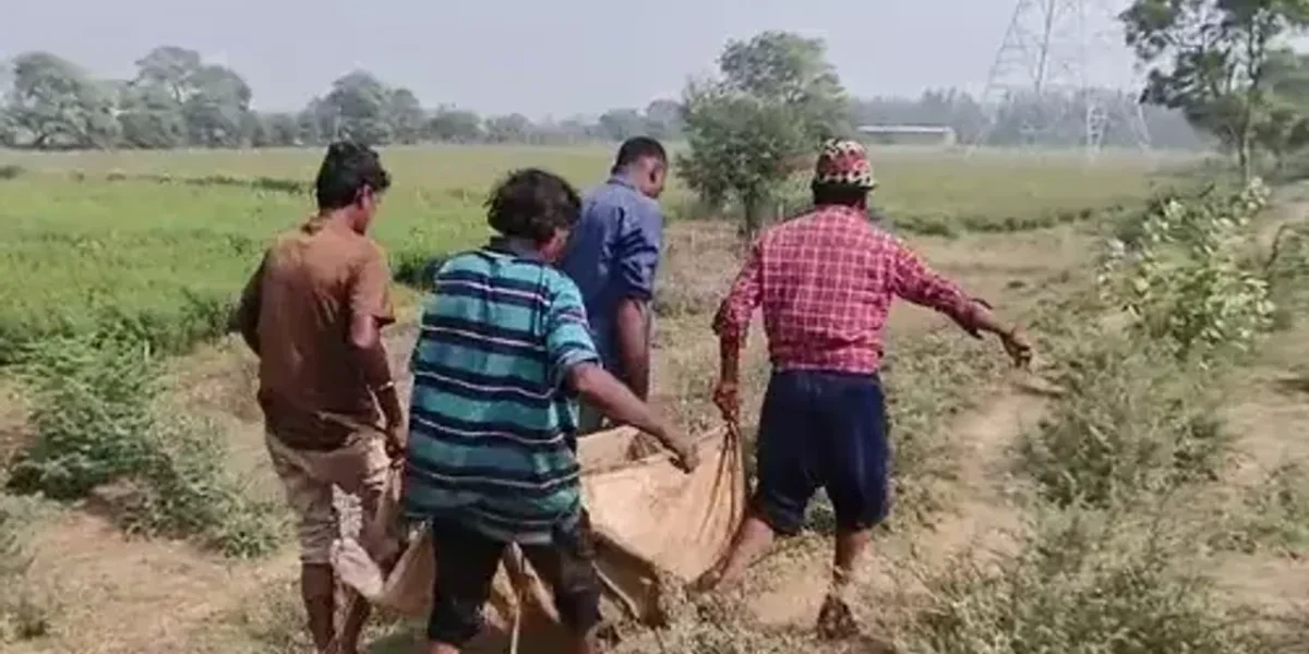ભરૂચ : વાગરાના પહાજ નજીક કેનાલમાંથી અજાણ્યા વ્યક્તિનો મૃતદેહ મળ્યો, પોલીસે તપાસ હાથ ધરી…