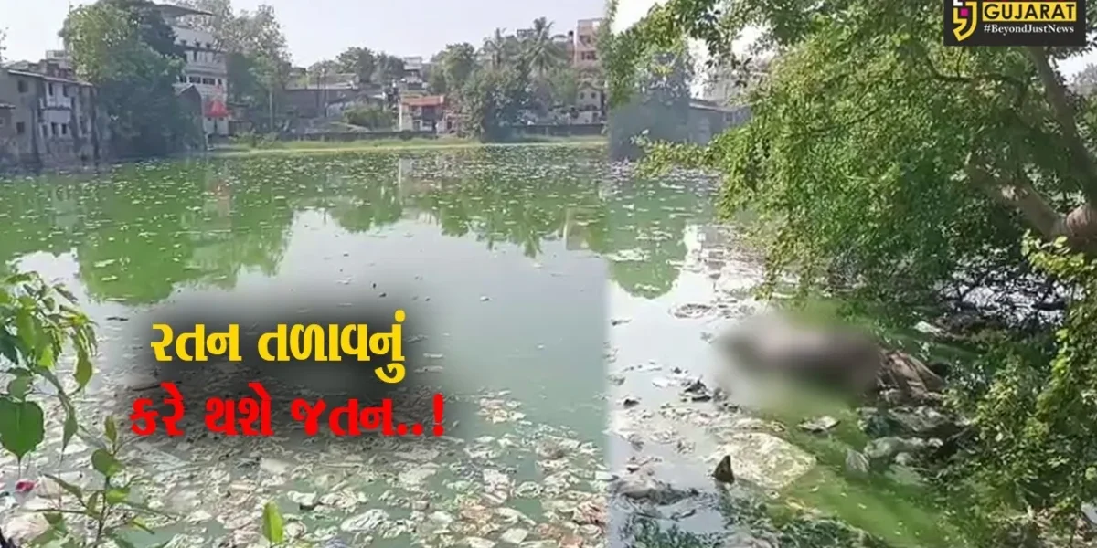 ભરૂચ : ઐતિહાસિક રતન તળાવમાં વધુ એક દુર્લભ કાચબાનું મોત, તંત્ર પ્રત્યે સ્થાનિકોમાં રોષ…