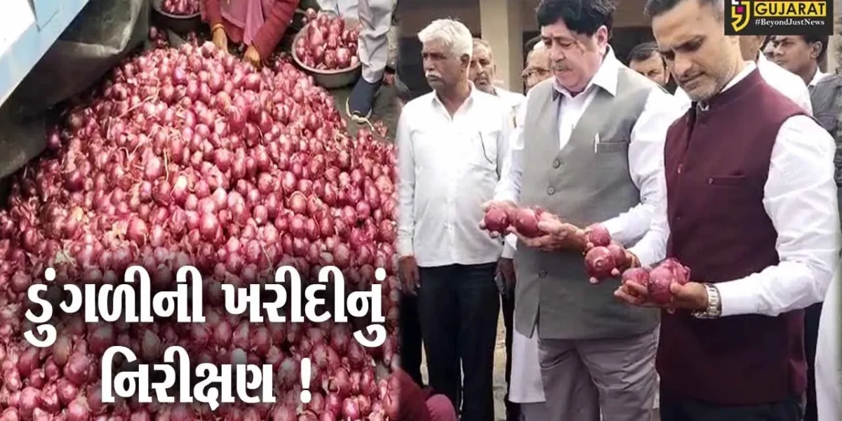 અમરેલી:ખાંભા APMC સેન્ટરમાં નાફેડના ચેરમેન દિલીપ સંઘાણી દ્વારા કરવામાં આવ્યુ નિરીક્ષણ